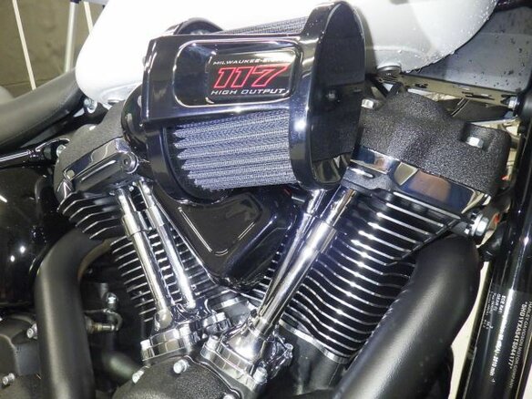 2026 Harley-Davidson Low Rider ST, белый, 2470000 рублей - вид 6