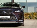 2021 Lexus RX 300 IV Рестайлинг, коричневый, 4400000 рублей - вид 9