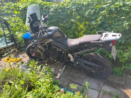 2015 Triumph Tiger 800, чёрный, 680000 рублей, вид 2