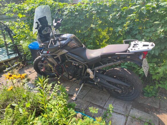 2015 Triumph Tiger 800, чёрный, 680000 рублей - вид 1