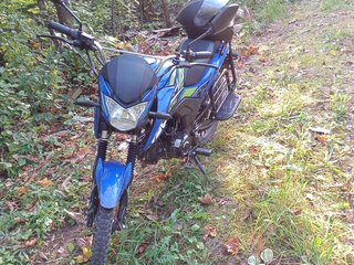 Promax ALPHA RS 13