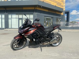 2010 Kawasaki Z 1000, коричневый, 680000 рублей, вид 1