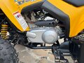 2008 BRP Can-Am DS 250, жёлтый, 329990 рублей - вид 8