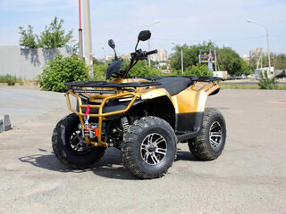 2026 Irbis ATV 200U, золотистый, 204100 рублей, вид 1