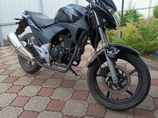 Stels Flex 250