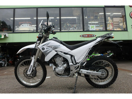 2007 Yamaha WR250R, белый, 465000 рублей, вид 2
