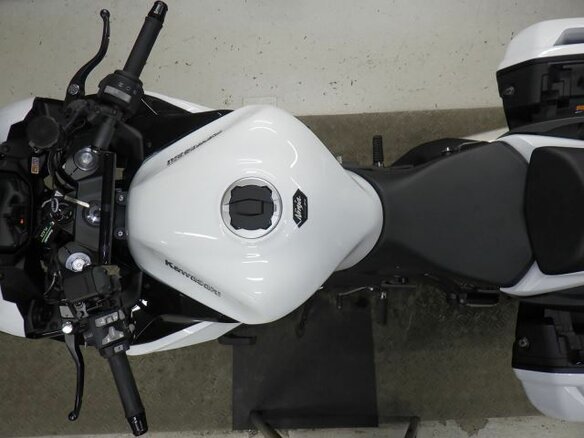 2025 Kawasaki Ninja 1100 SX, белый, 1550000 рублей - вид 2