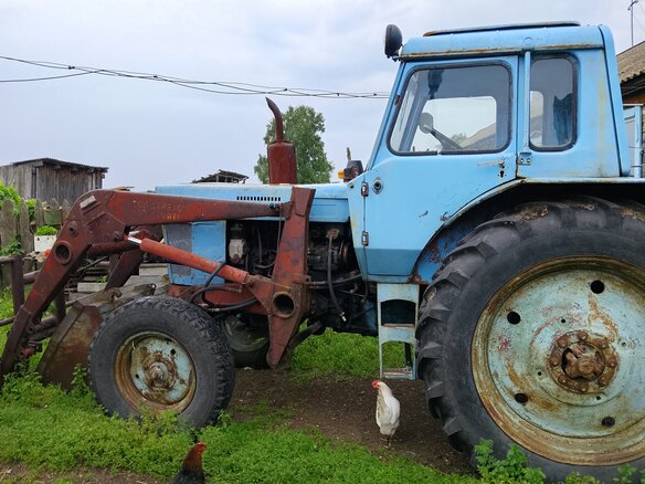 1991 МТЗ (BELARUS) 80, голубой, 660000 рублей - вид 2