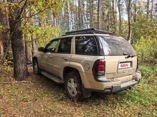 2004 Chevrolet TrailBlazer I, бежевый, 1300000 рублей, вид 1