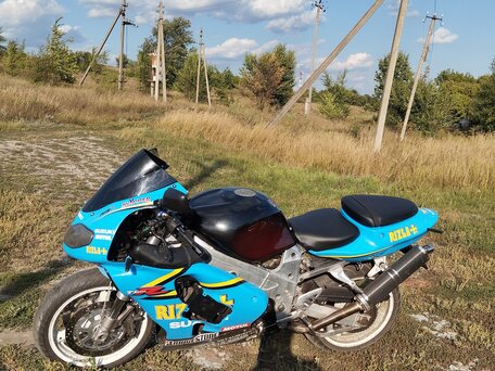 2001 Suzuki TL 1000, синий, 235000 рублей, вид 3