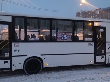 2017 ПАЗ 3204, белый, 1500000 рублей, вид 3