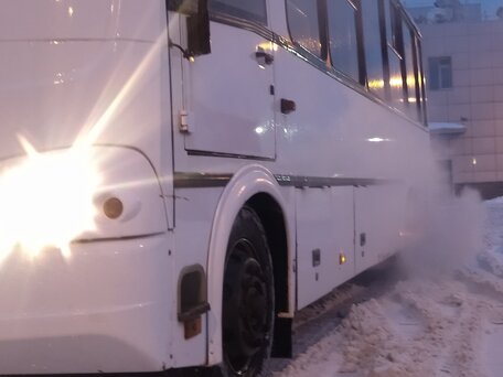 2017 ПАЗ 3204, белый, 1500000 рублей, вид 5