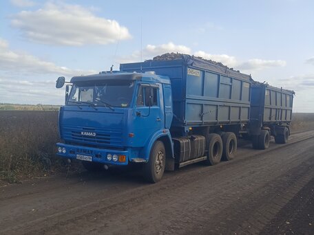 1995 КамАЗ 45144, синий, 1650000 рублей, вид 3