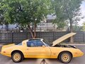 1980 Pontiac Firebird II, жёлтый
