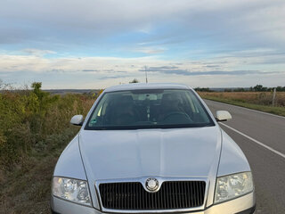2004 Skoda Octavia II (A5), серый, 530000 рублей, вид 1