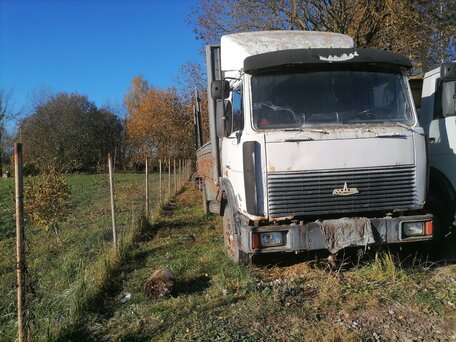 2002 МАЗ 4370, серый, 210000 рублей, вид 2