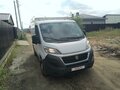2016 Fiat Professional Ducato, белый, 2190000 рублей - вид 1
