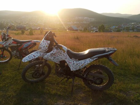 2013 Bars YQ250GY-18V, белый, 100000 рублей, вид 3