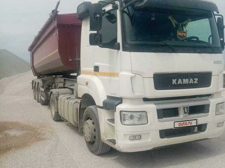 2019 КамАЗ 5490 NEO, белый, 2700000 рублей, вид 3