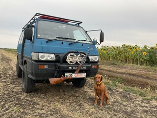1989 Mitsubishi Delica III, синий, 600000 рублей, вид 3