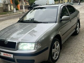 2008 Skoda Octavia I (A4) Рестайлинг, серый, 999999 рублей, вид 1