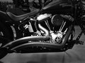 2009 Harley-Davidson Softail Custom, чёрный, 1600000 рублей