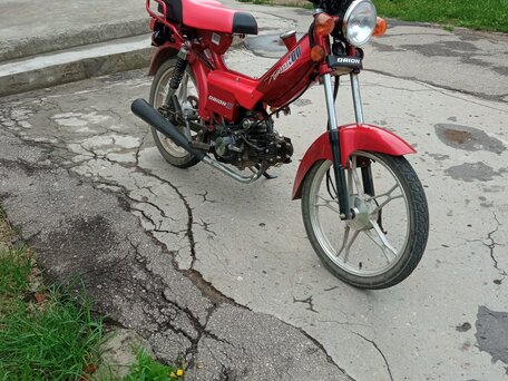 2017 Orion 100, красный, 60000 рублей, вид 3