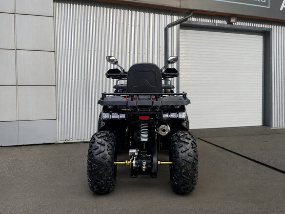 2026 Bison Warrior 200, чёрный, 162400 рублей - вид 4