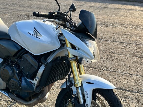 2008 Honda CB 600F Hornet, белый - вид 9