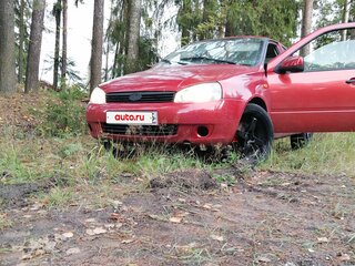 2006 Lada (ВАЗ) Kalina I, красный, 140000 рублей, вид 5