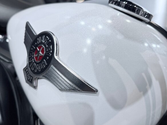 2011 Harley-Davidson Fat Boy, белый, 1399000 рублей - вид 22