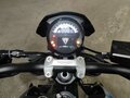 2025 Triumph Trident 660, синий, 1010000 рублей - вид 4