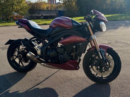 2012 Triumph Speed Triple, красный, 490000 рублей, вид 3