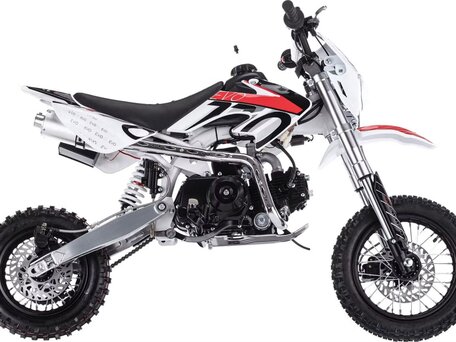 2026 BSE Evo 110, белый, 67500 рублей, вид 1