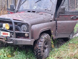 1994 УАЗ 31514, красный, 250000 рублей, вид 1