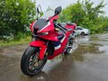2020 Honda CBR 600RR, красный, 810000 рублей