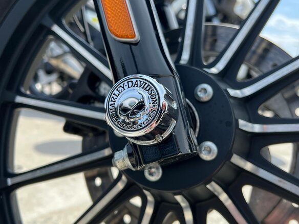 2015 Harley-Davidson Sportster 883, серебристый, 720000 рублей - вид 20