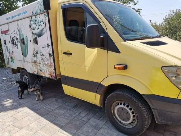 2009 Mercedes-Benz Sprinter, жёлтый, 1850000 рублей - вид 3