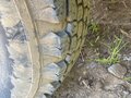 2004 УАЗ 3962, зелёный, 320000 рублей - вид 4