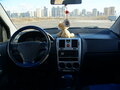 2008 Hyundai Getz I Рестайлинг, голубой - вид 4