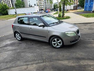 2008 Skoda Fabia II, серый, 460000 рублей, вид 5