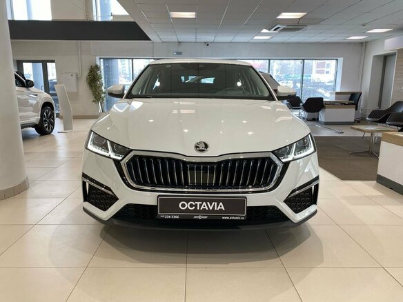 2024 Skoda Octavia IV (A8), белый - вид 6
