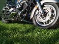 2003 Yamaha XVS1100, золотистый, 365091 рублей - вид 2
