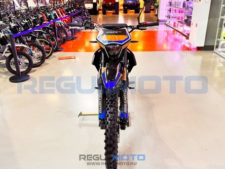2025 Regulmoto Athlete Pro, оранжевый, 212000 рублей, вид 3