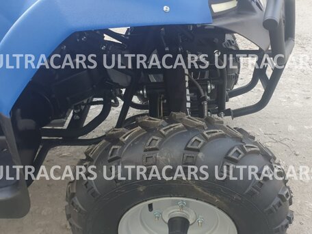 2026 Irbis ATV 200U, синий, 235196 рублей, вид 5