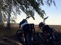 2024 Motoland Alpha, чёрный, 40000 рублей - вид 3
