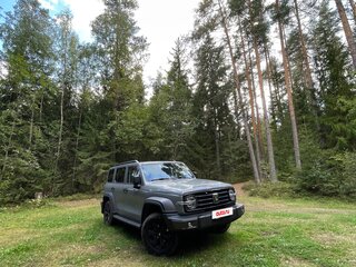 2023 Tank 300 I, серый, 3200000 рублей, вид 5