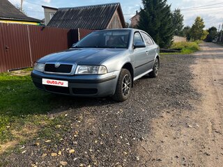 2008 Skoda Octavia I (A4) Рестайлинг, серый, 300000 рублей, вид 1
