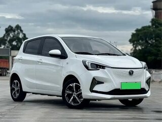 2022 Changan Benben E-Star 32 kWh, белый, 980000 рублей, вид 5