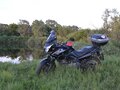 2009 Suzuki V-Strom DL 650, чёрный - вид 6